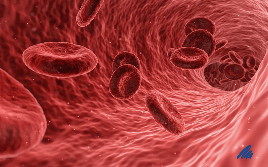 img-vascolare.jpg